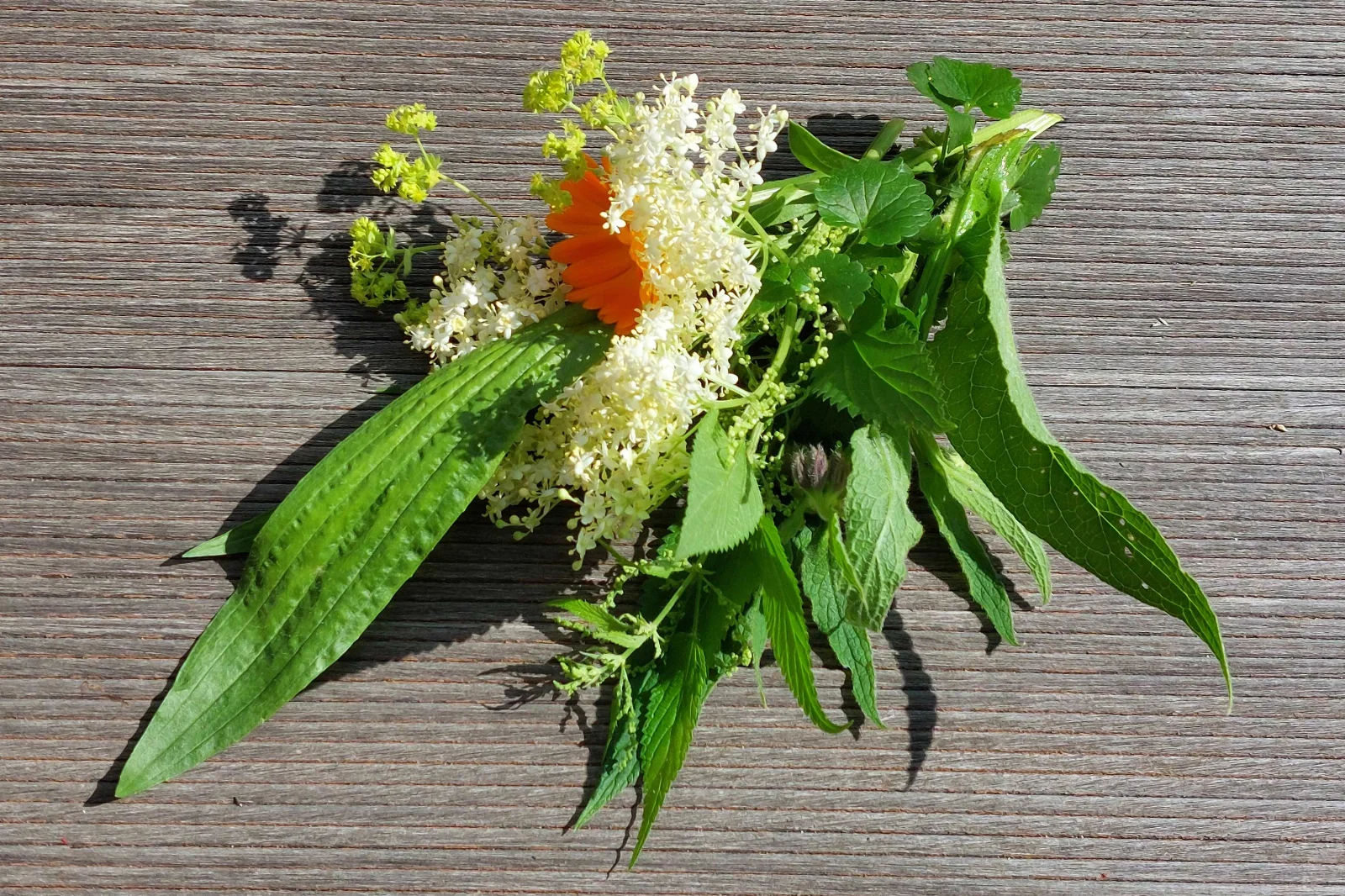 Ein Strauß aus grünen Blättern, weißen Holunderblüten und einer orangefarbenen Blüte liegt auf einer Holzoberfläche.